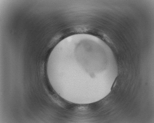 X0000066950163200604142058