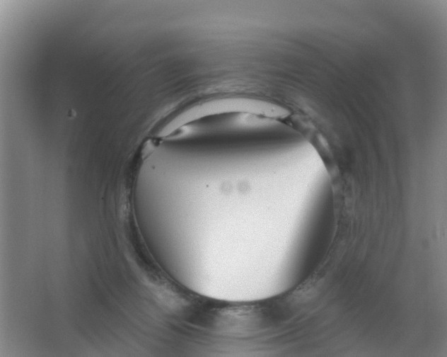 X0000066950164200604142058