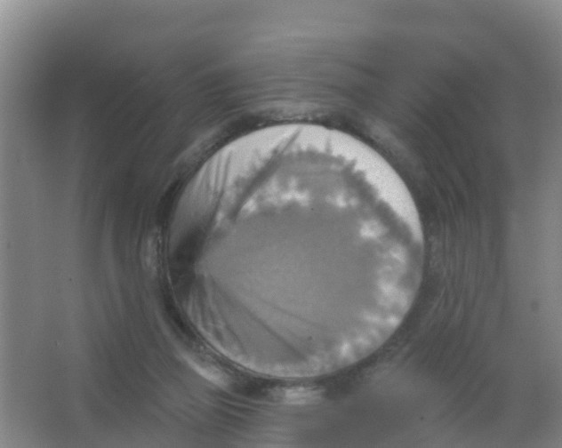 X0000066950165200604142058