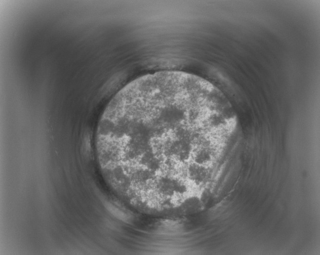 X0000066950166200604142058