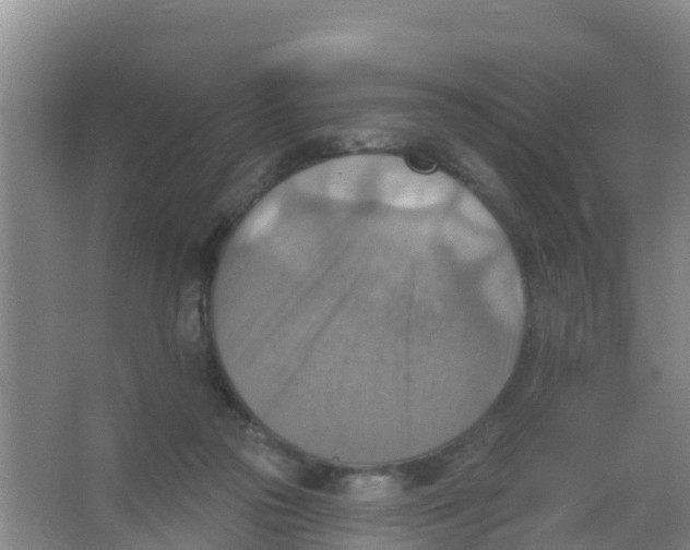 X0000066950169200604142058