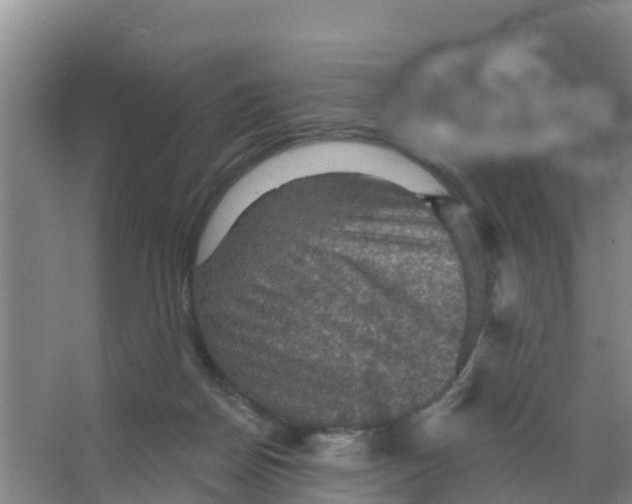 X0000066950170200604142058