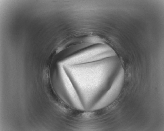 X0000066950172200604142058