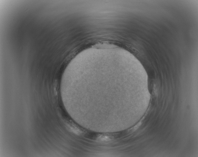 X0000066950174200604142058