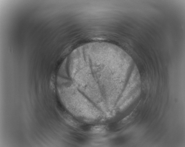 X0000066950175200604142058