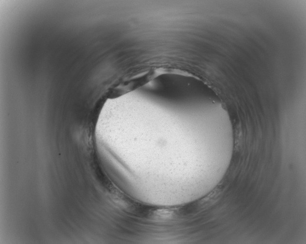 X0000066950176200604142059