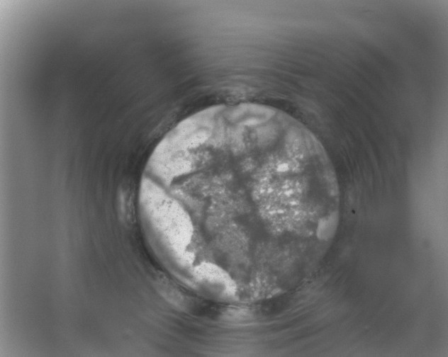 X0000066950177200604142059