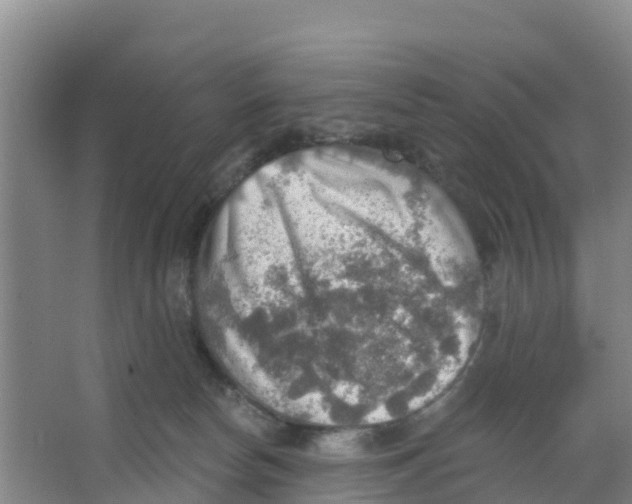 X0000066950178200604142059