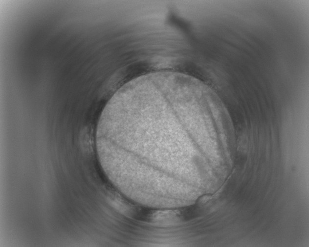 X0000066950179200604142059