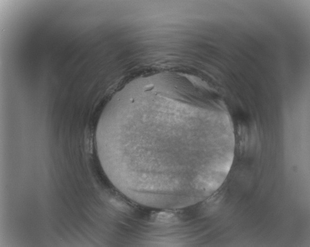 X0000066950180200604142059