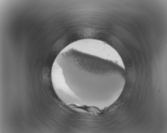 X0000066950181200604142059