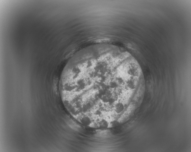 X0000066950185200604142059