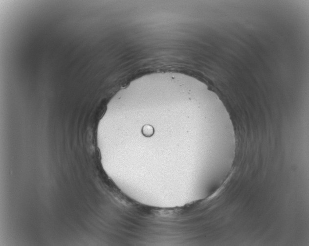 X0000066950187200604142059