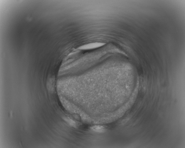 X0000066950189200604142059