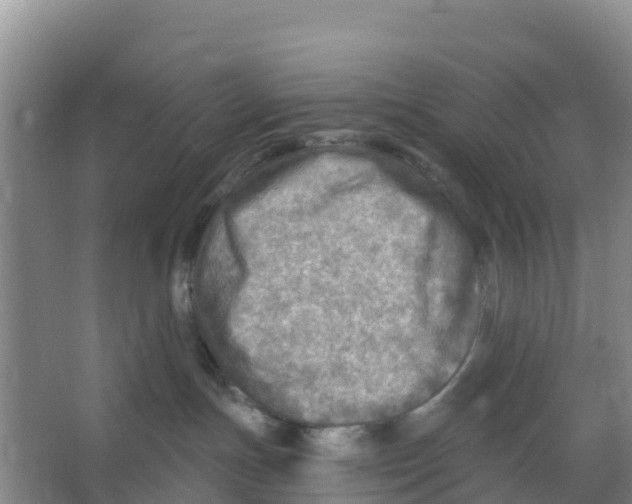 X0000066950191200604142059