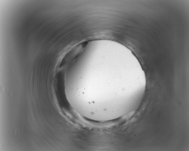 X0000066950193200604142058