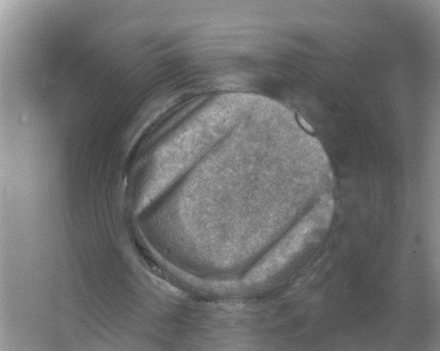 X0000066950194200604142058