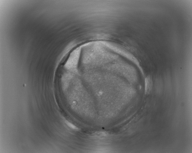 X0000066950195200604142058