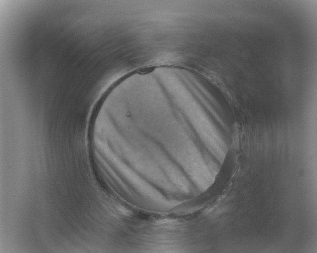 X0000066950196200604142058