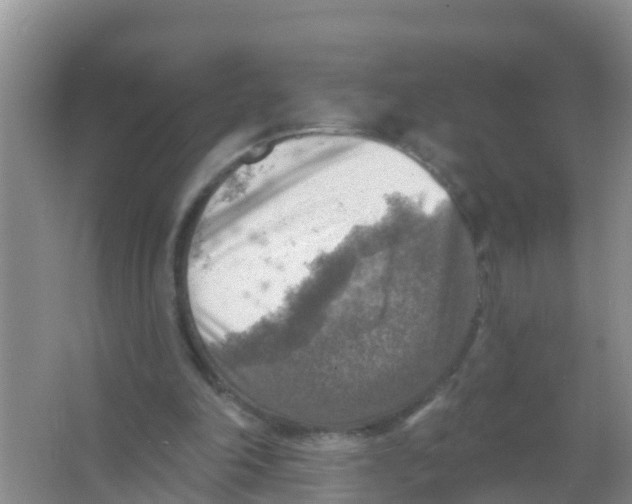 X0000066950198200604142058