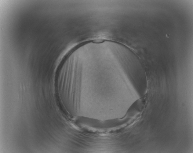 X0000066950200200604142058