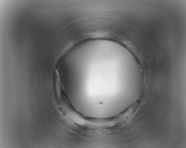 X0000066950201200604142058