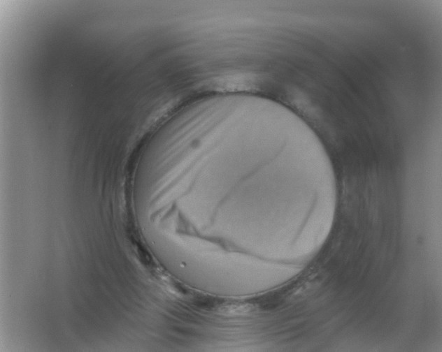 X0000066950202200604142058