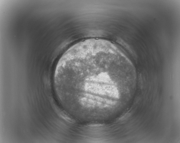 X0000066950203200604142058