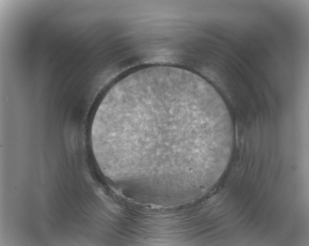 X0000066950204200604142058