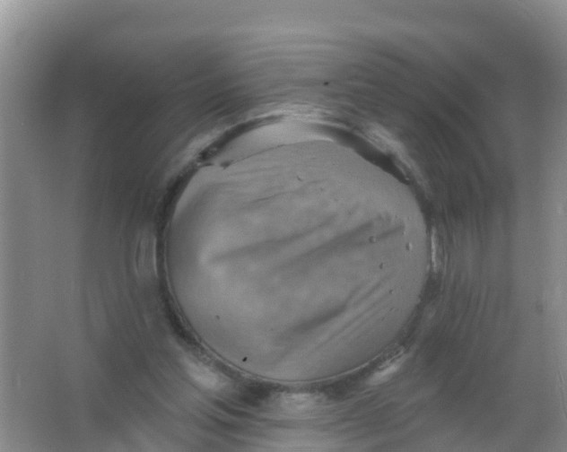 X0000066950205200604142058