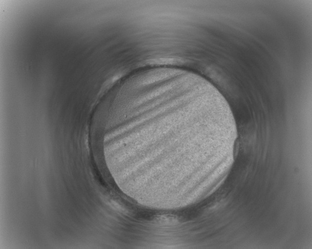 X0000066950207200604142058