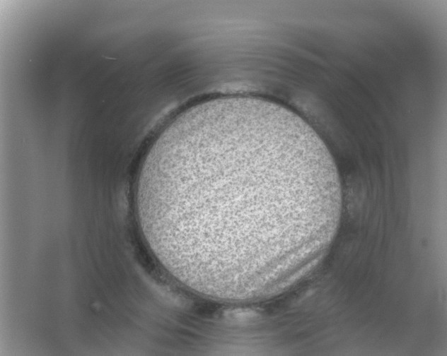 X0000066950208200604142058