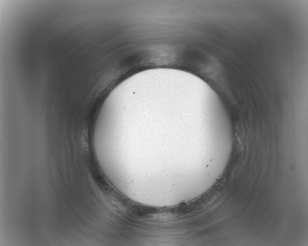 X0000066950212200604142058