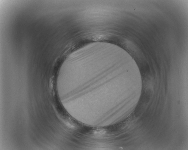 X0000066950214200604142058