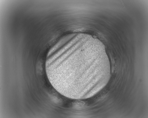 X0000066950215200604142058