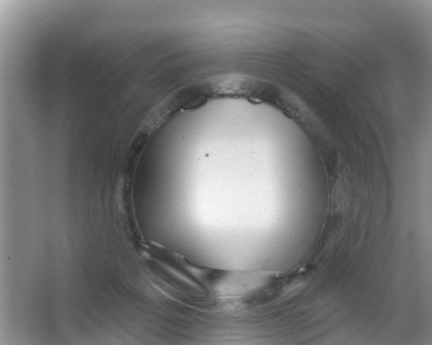 X0000066950217200604142058