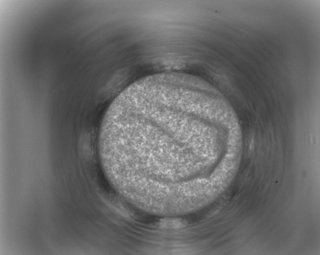 X0000066950218200604142058