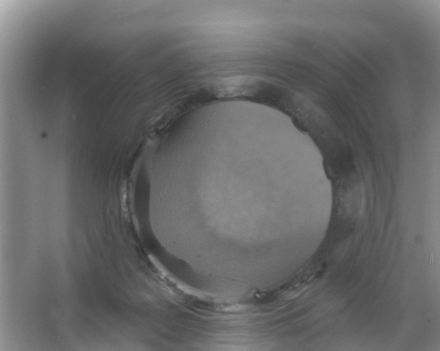 X0000066950219200604142058