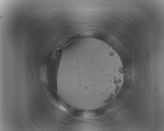 X0000066950223200604142057