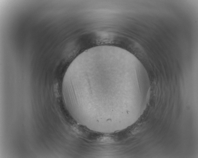 X0000066950224200604142057