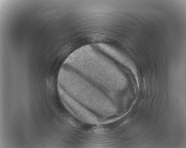 X0000066950228200604142057