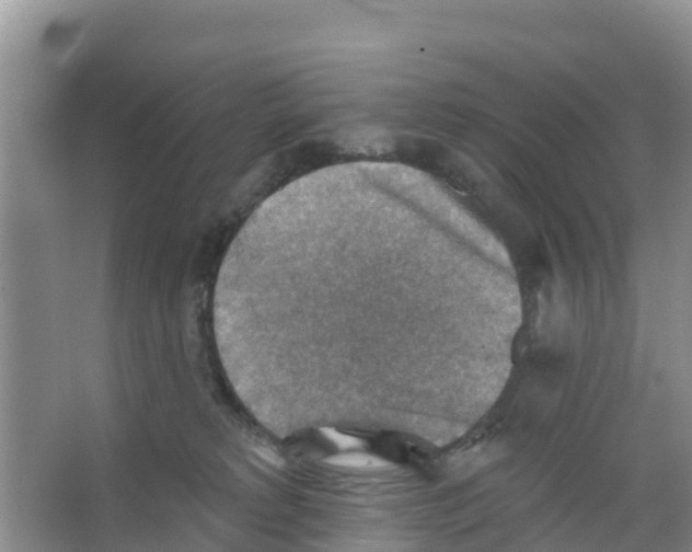 X0000066950229200604142057