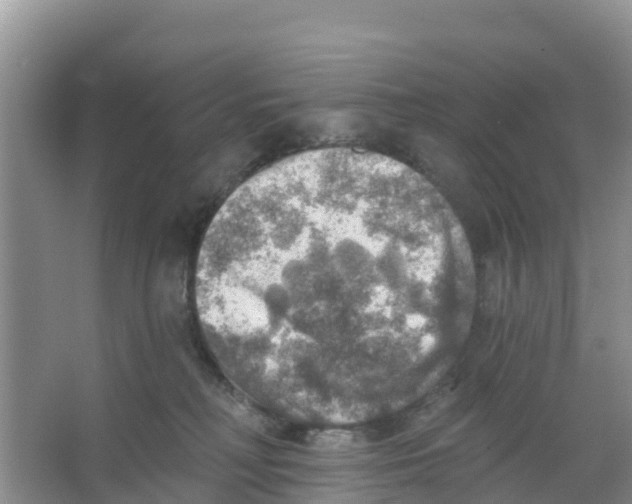 X0000066950230200604142057