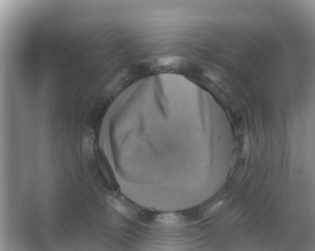 X0000066950231200604142057