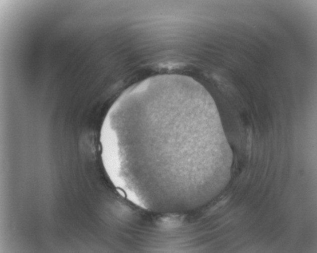 X0000066950232200604142057