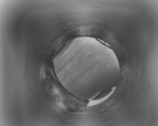 X0000066950233200604142057