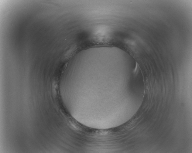 X0000066950235200604142057