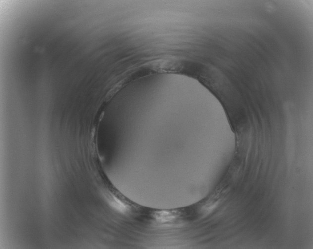 X0000066950239200604142057