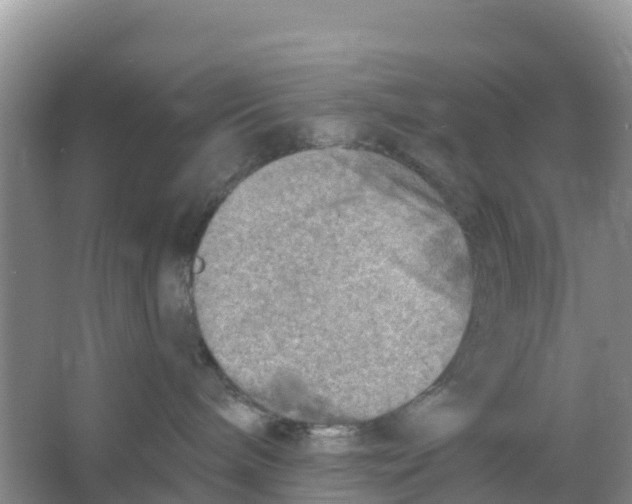 X0000066950240200604142057