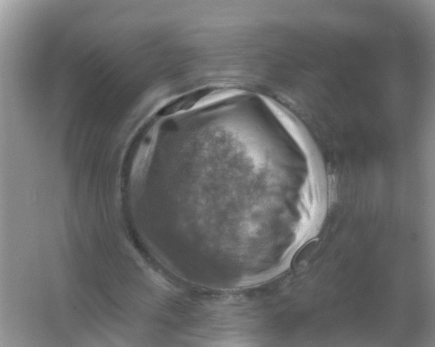 X0000066950243200604142056